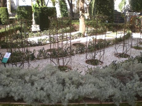 07 Giardino della minerva.JPG